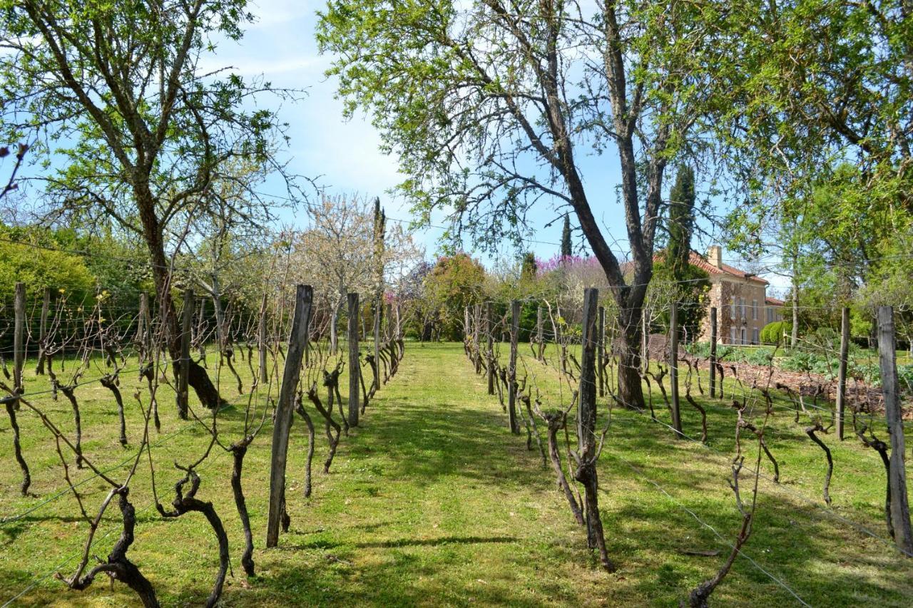 Chambre D'Hote Au Domaine Terre De Chenes Saint-Paul-de-Baise Екстер'єр фото