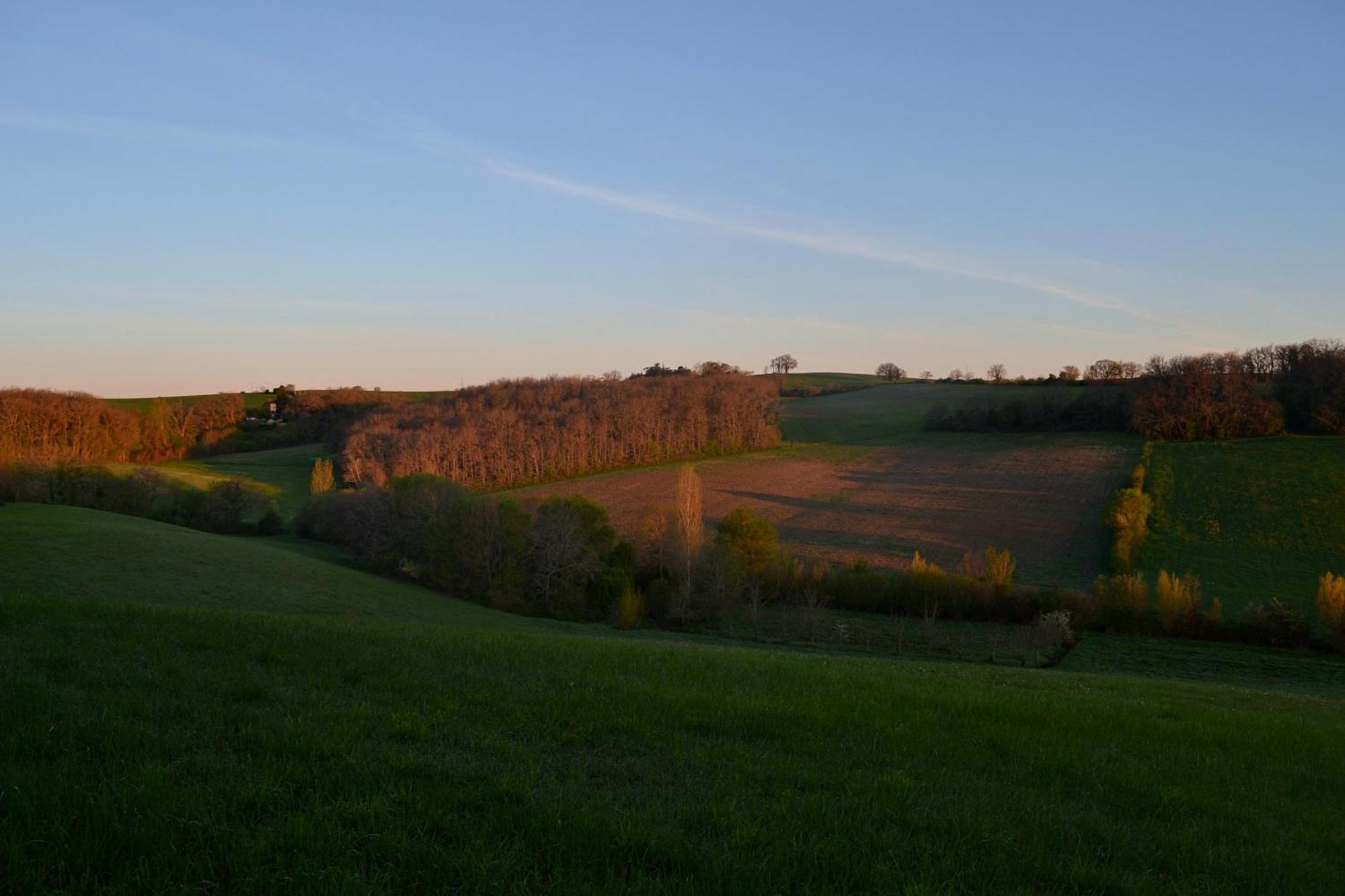 Chambre D'Hote Au Domaine Terre De Chenes Saint-Paul-de-Baise Екстер'єр фото